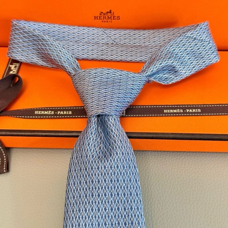 Hermes Neckties Casual 268619