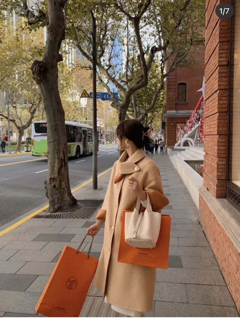 Hermes Picotin Lock TravelReady 48583