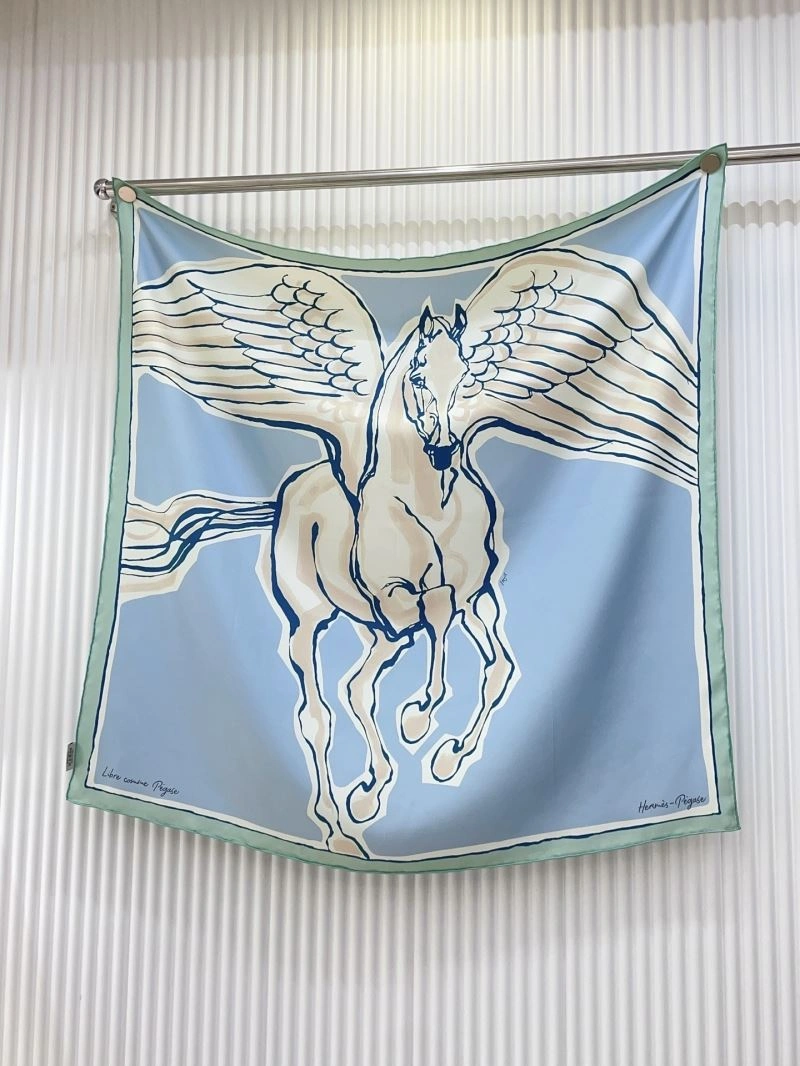 GoAnywhere Hermes Scarf 270682