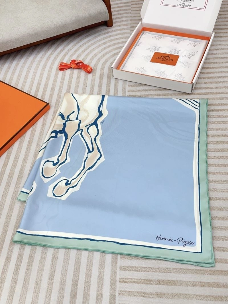 GoAnywhere Hermes Scarf 270682