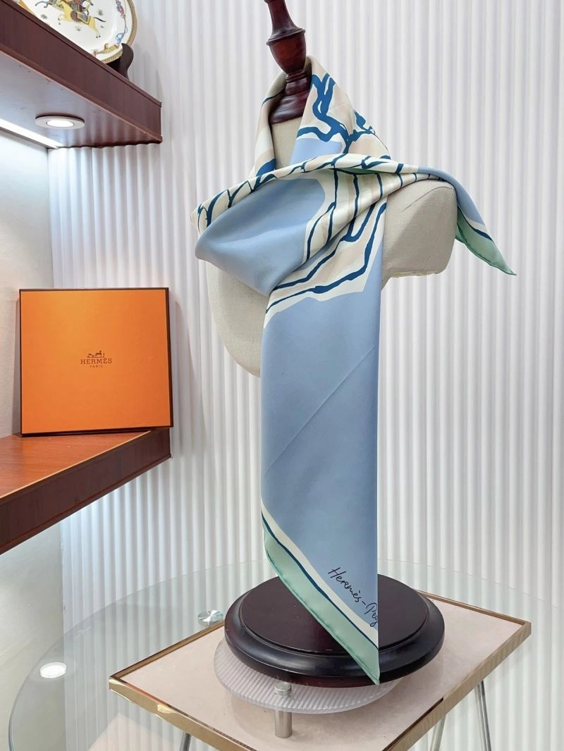 GoAnywhere Hermes Scarf 270682