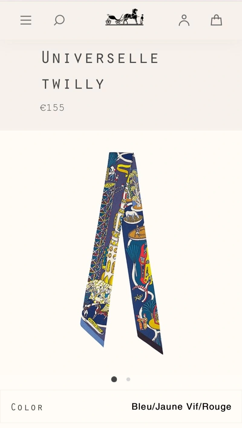 MultiPurpose Hermes Scarf 271041