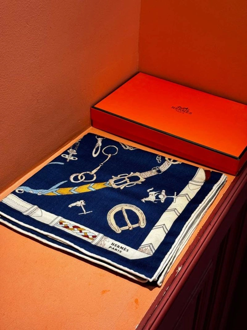 Sophisticated Hermes Scarf 271812