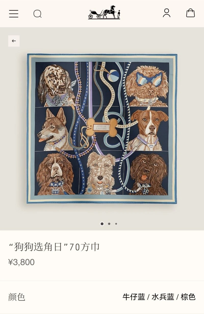 Seasonal Hermes Scarf 271767