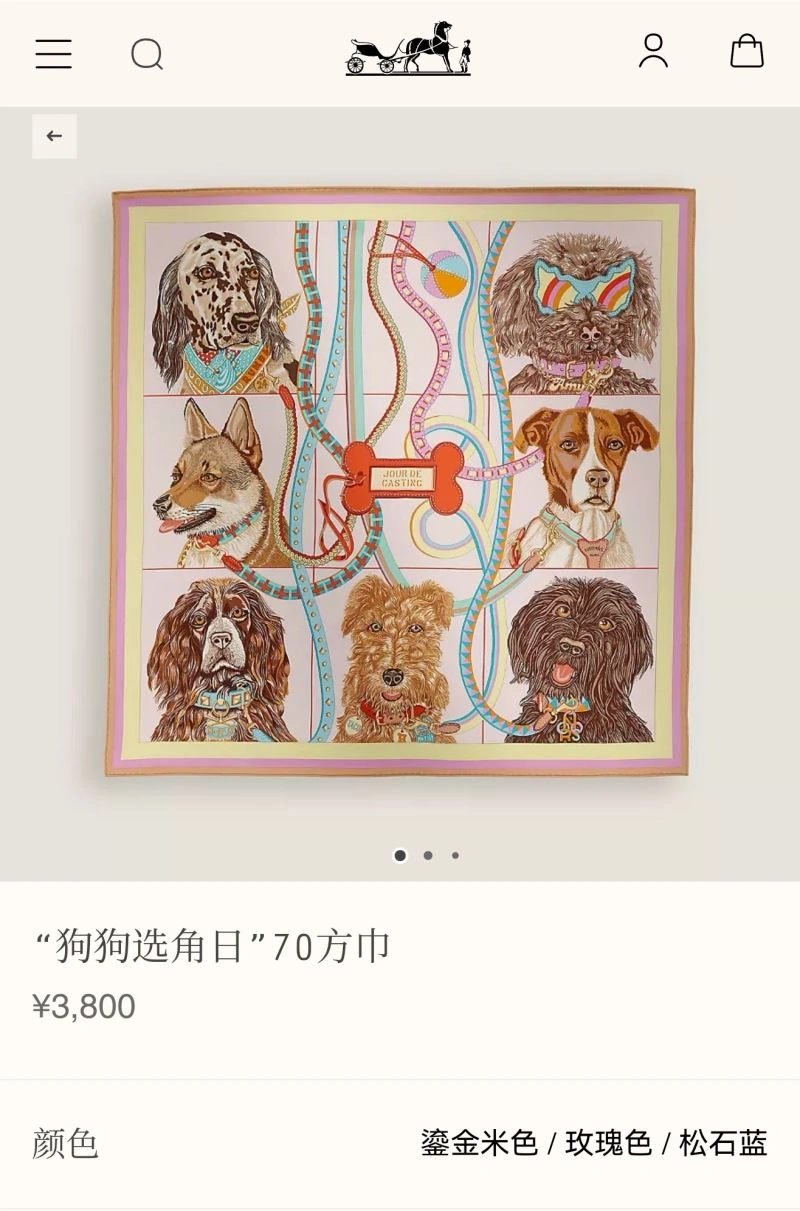 Elegant Hermes Scarf 271764