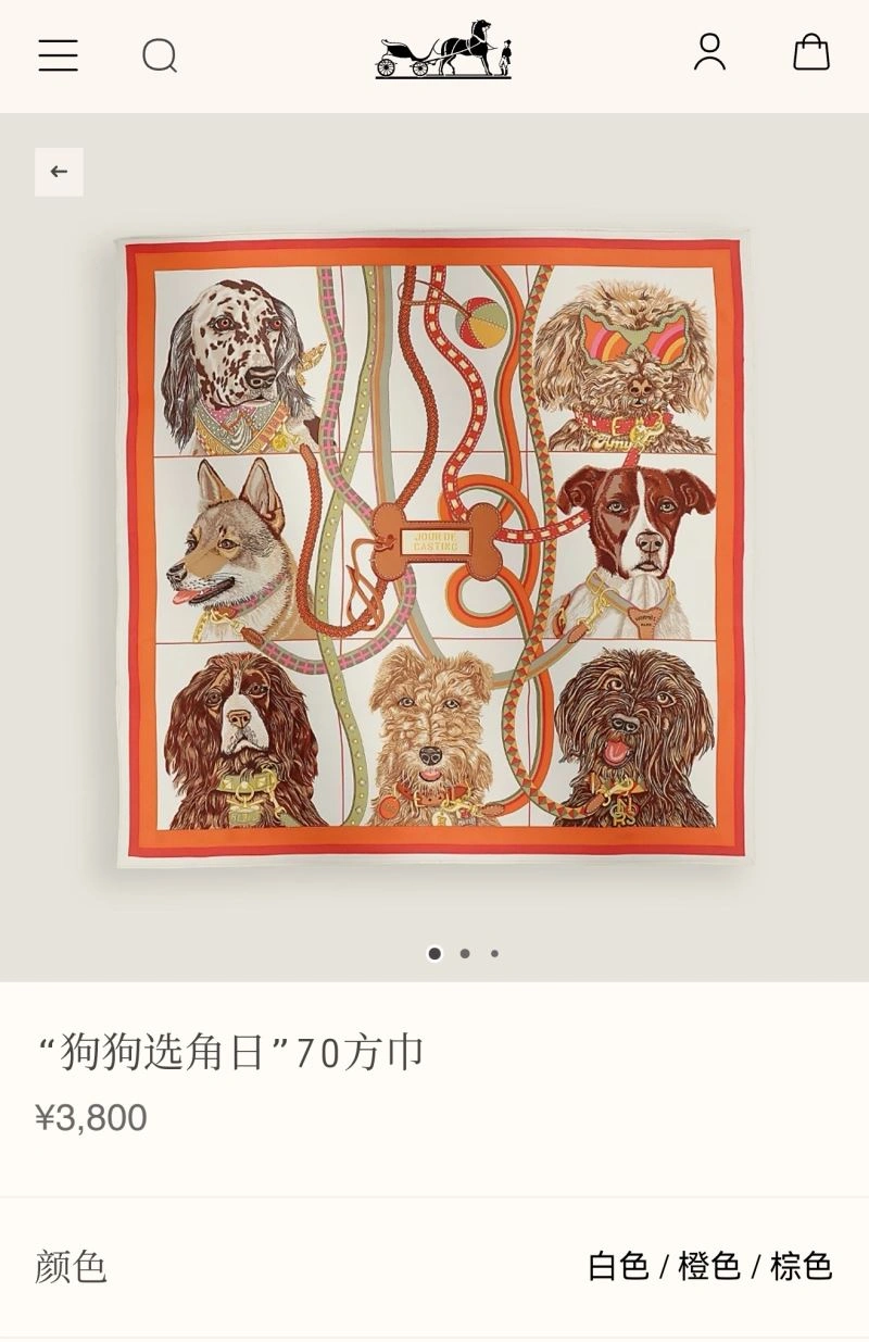 UrbanStyle Hermes Scarf 271759