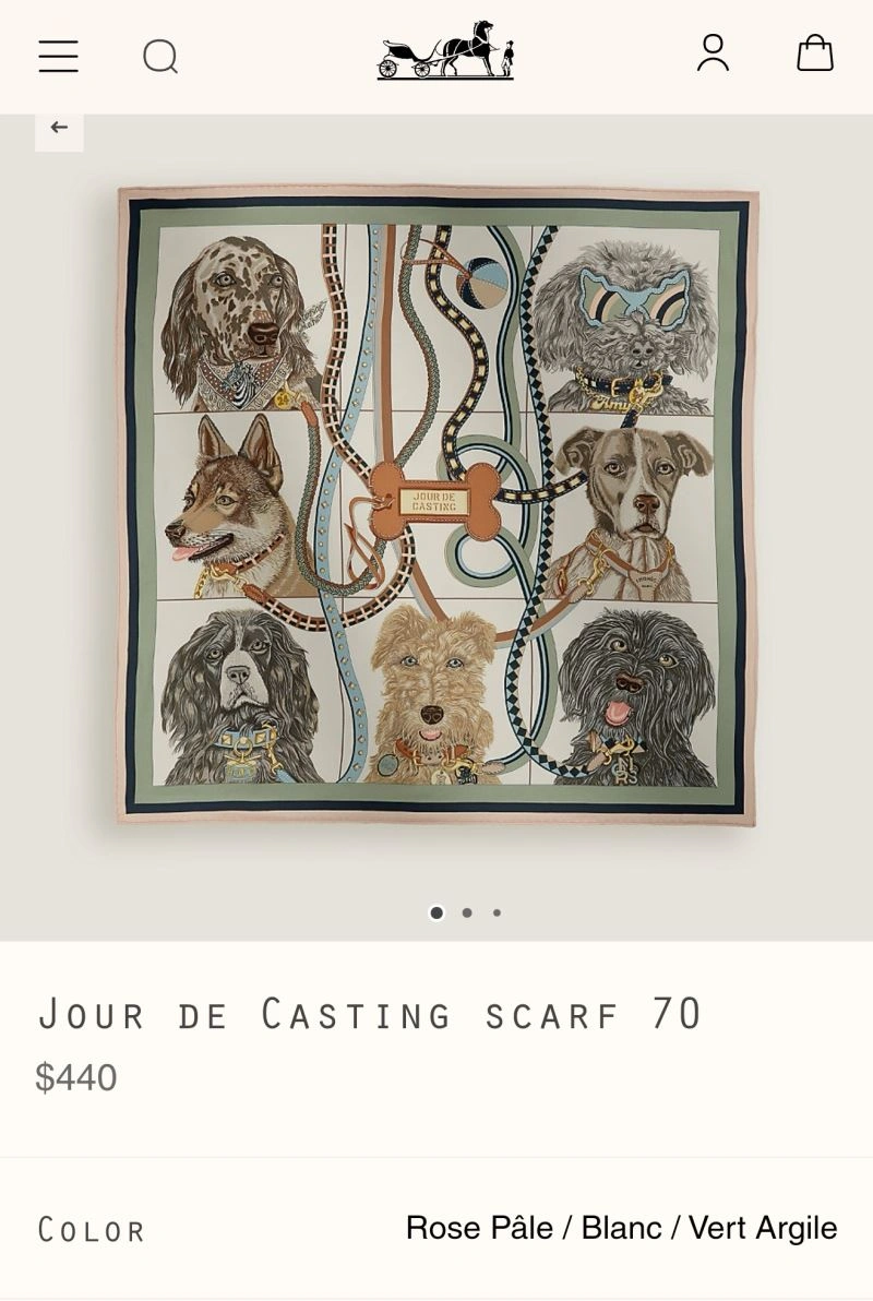EasyCare Hermes Scarf 271746