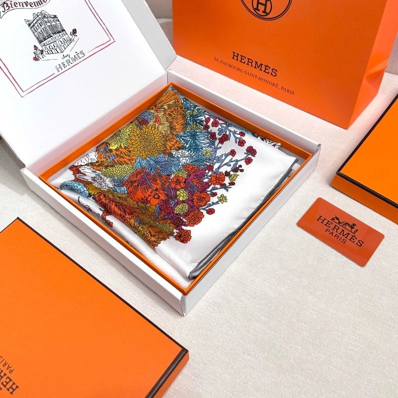 Hermes Scarf GoAnywhere 271774