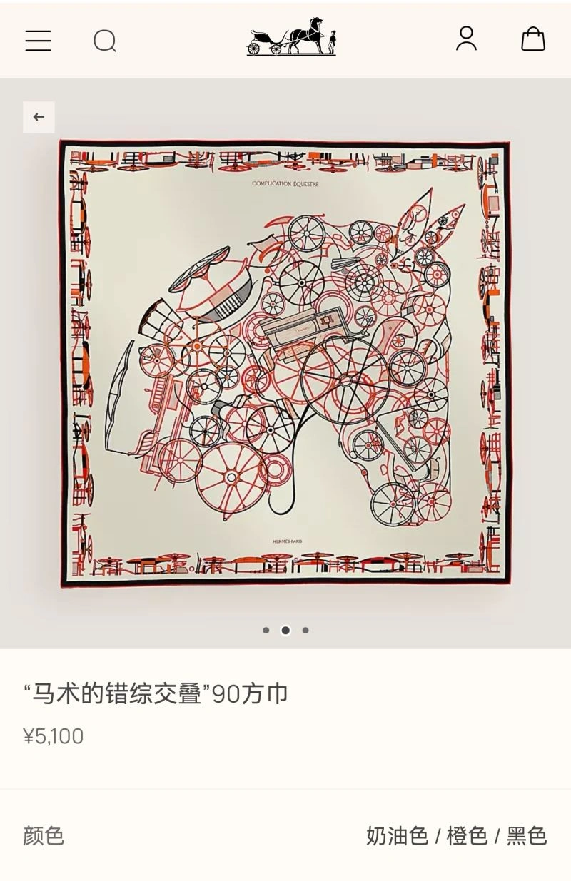 Chic Hermes Scarf 271707