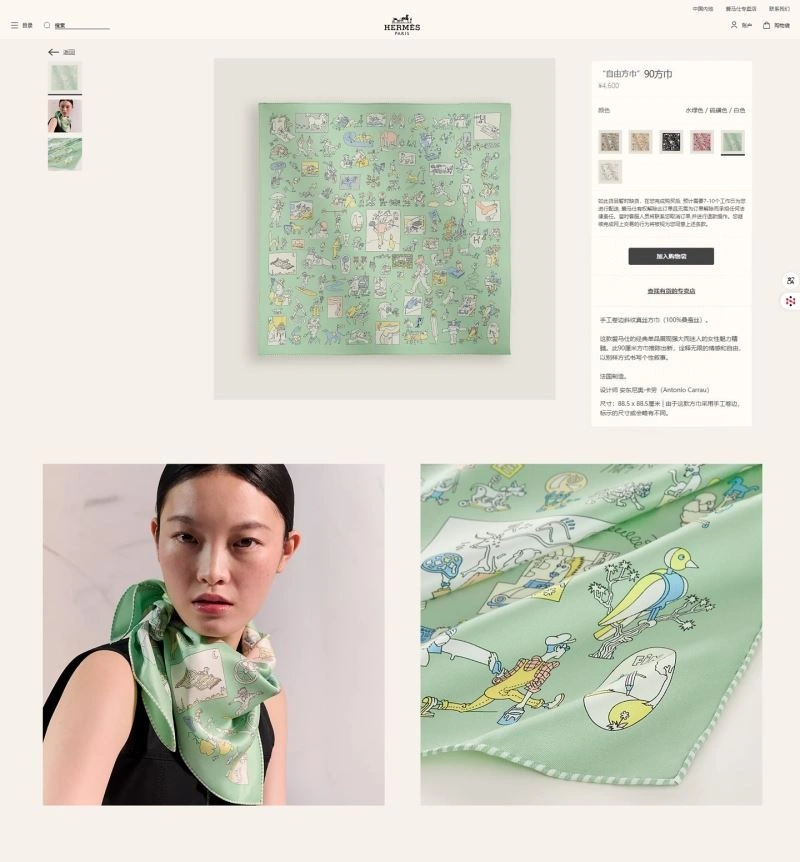 Casual Hermes Scarf 271694