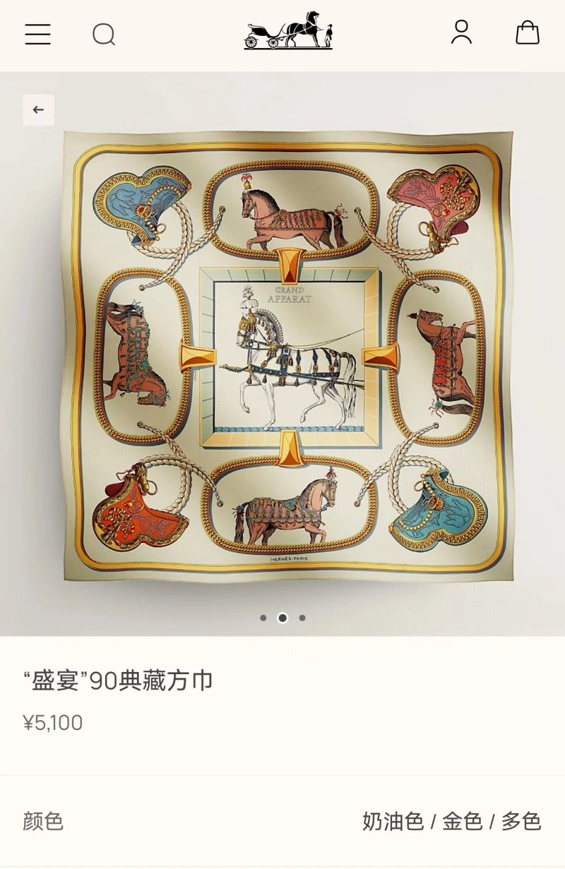 Hermes Scarf Functional 271670