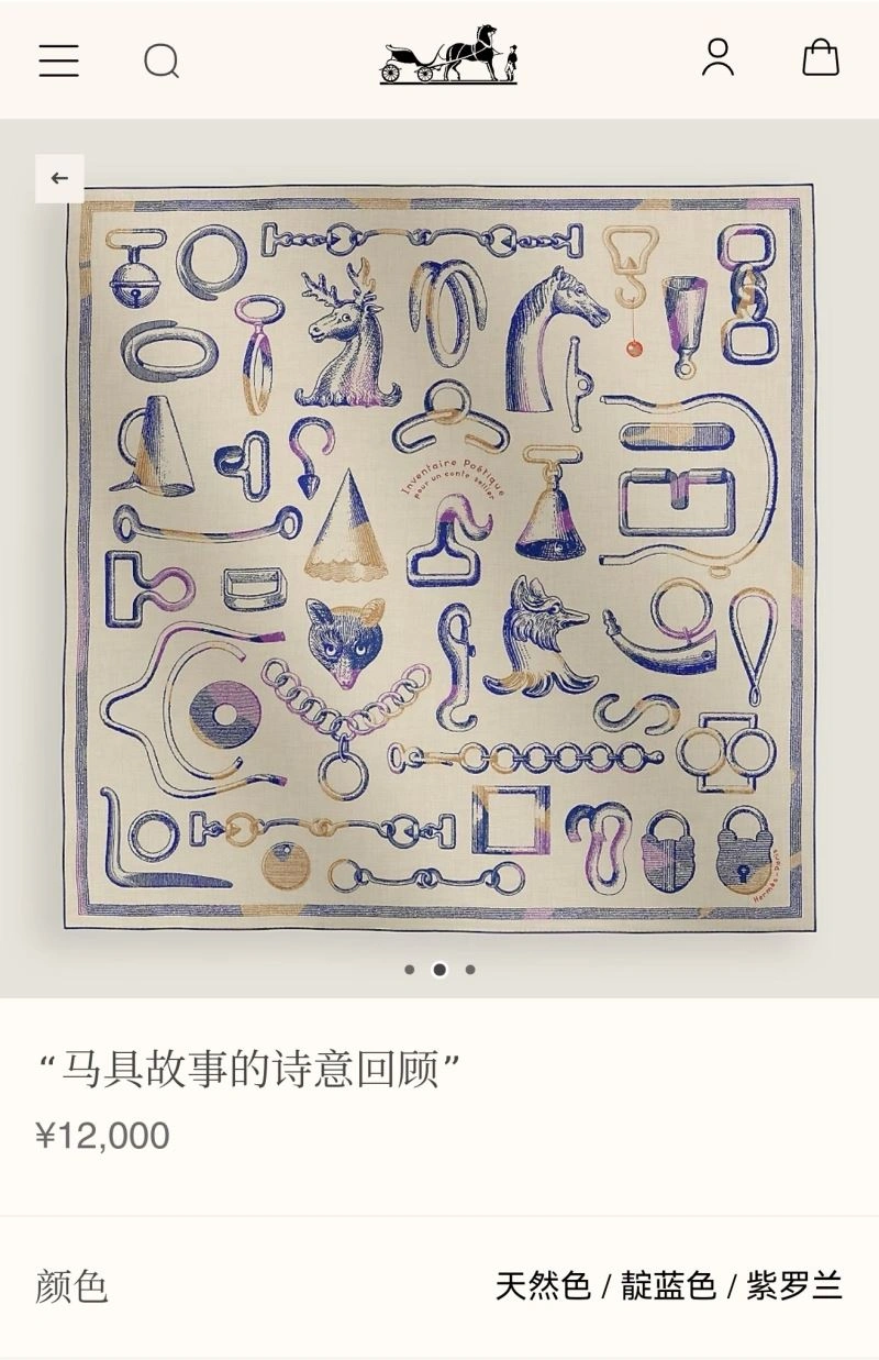 Hermes Scarf EyeCatching 271678