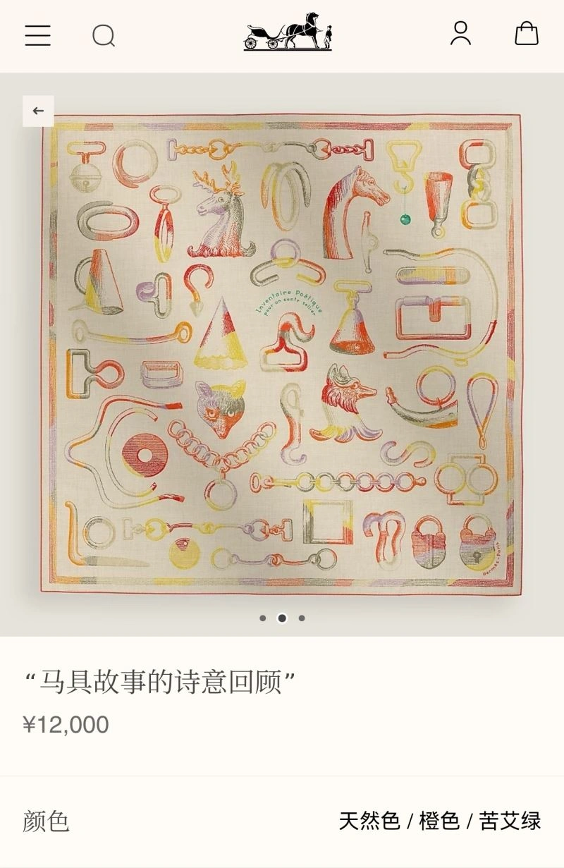 Bold Hermes Scarf 271662