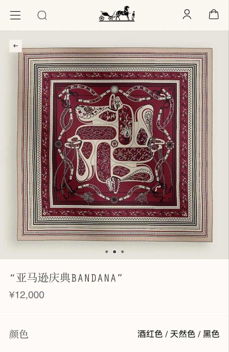 Hermes Scarf Vibrant 271664