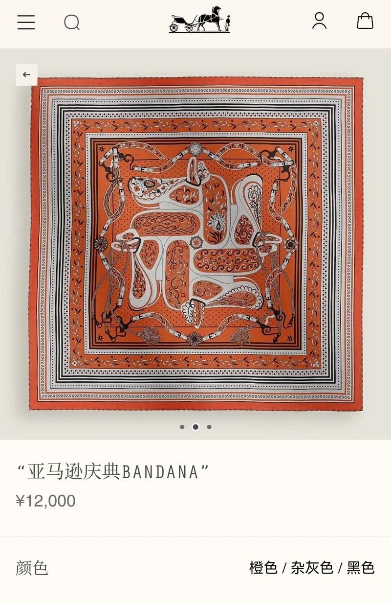 SunProtective Hermes Scarf 271691
