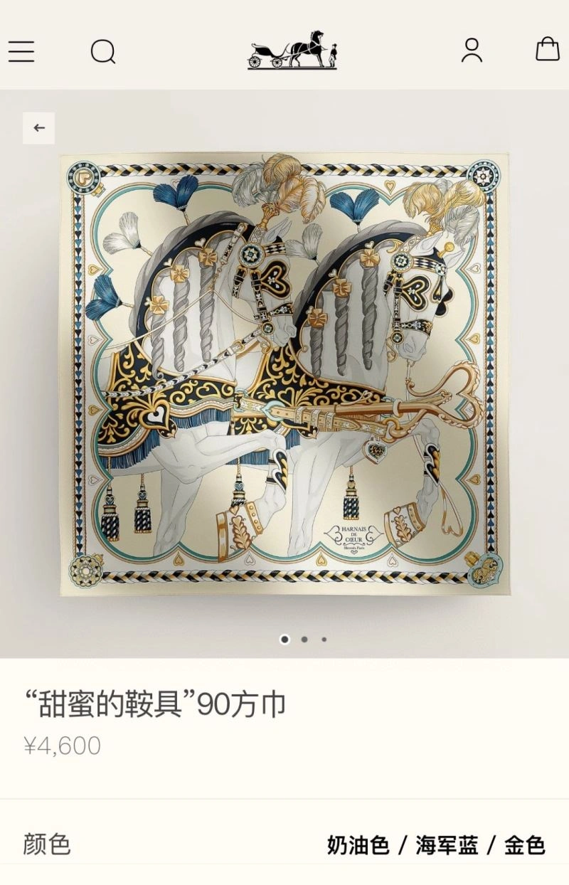 Hermes Scarf SunProtective 271690