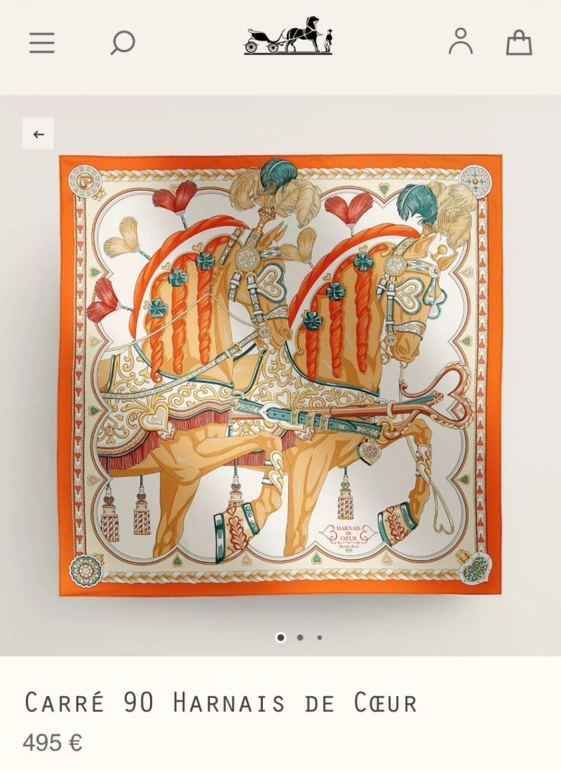 Hermes Scarf Sporty 271660