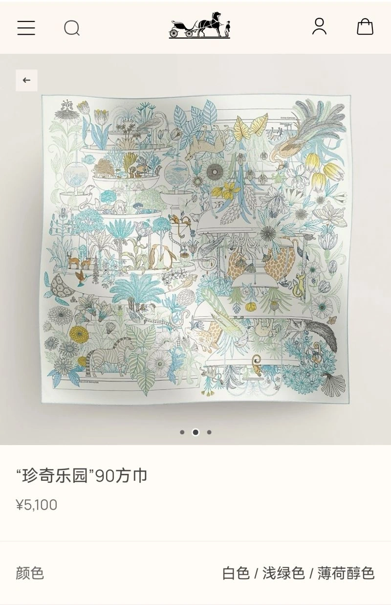 Hermes Scarf WaterResistant 271656