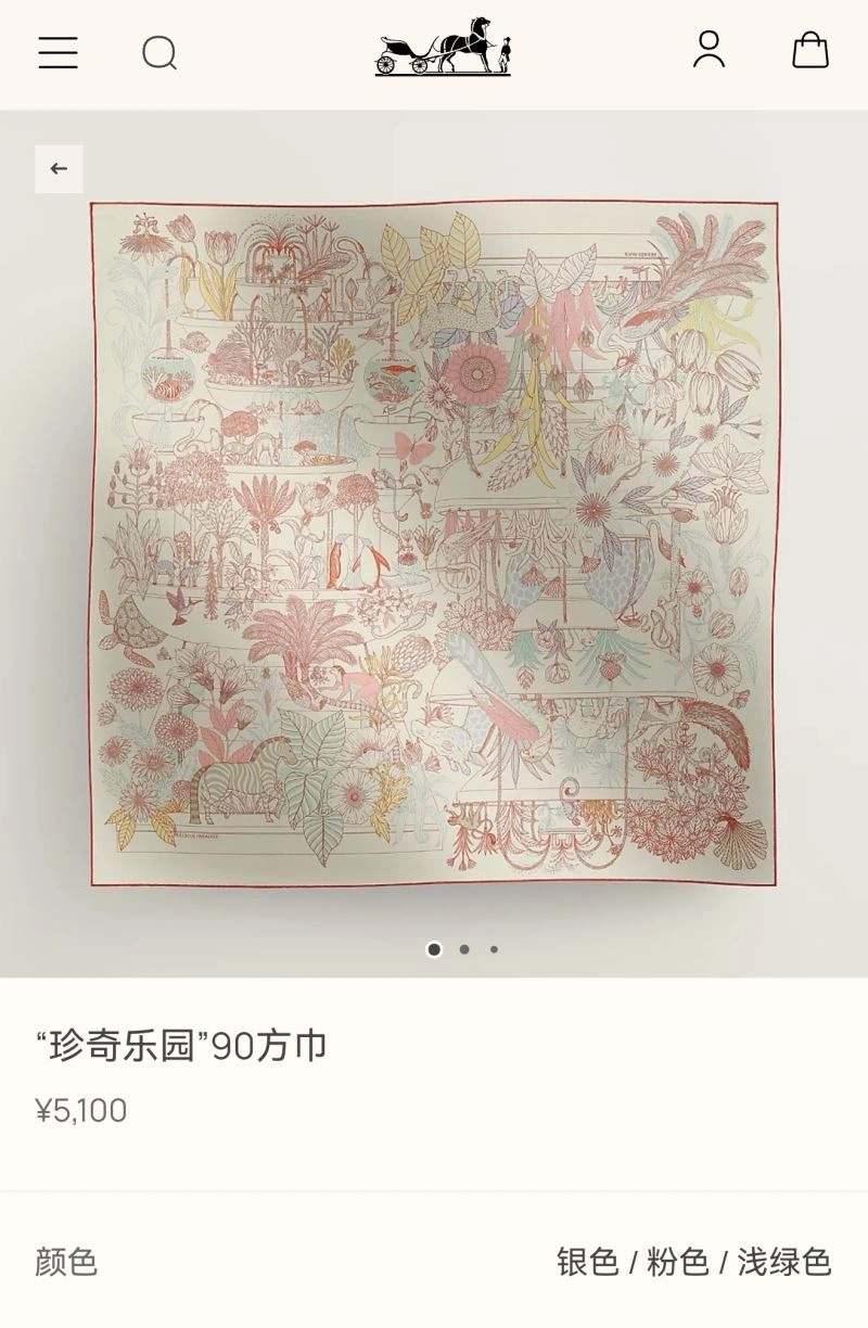 SmartChoice Hermes Scarf 271653
