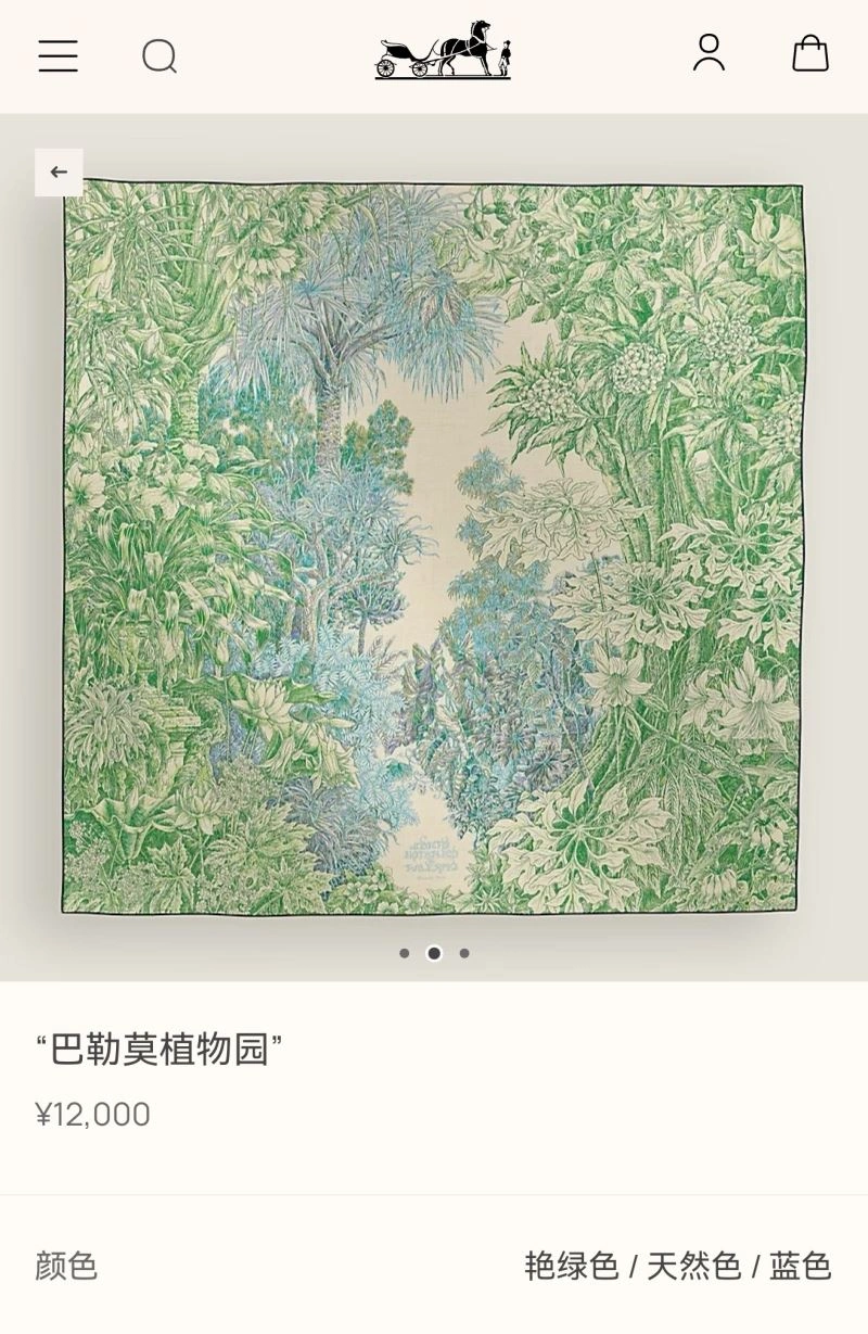 Hermes Scarf Attractive 271629