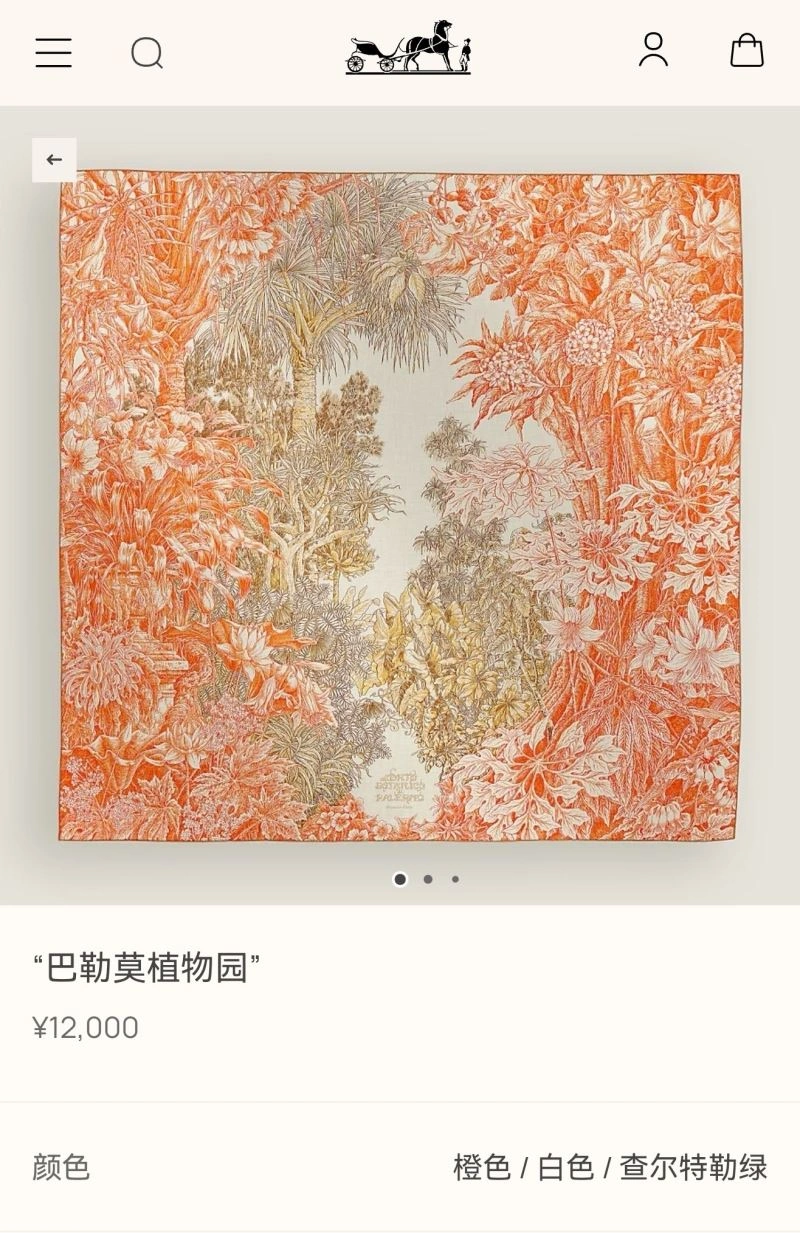 Hermes Scarf GoodFit 271630