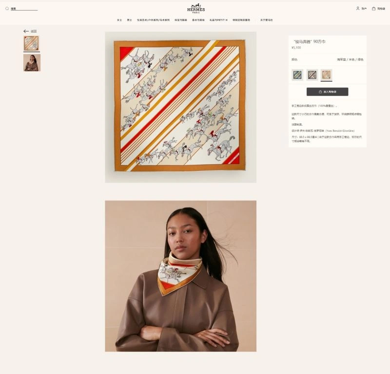 Hermes Scarf Vibrant 271646