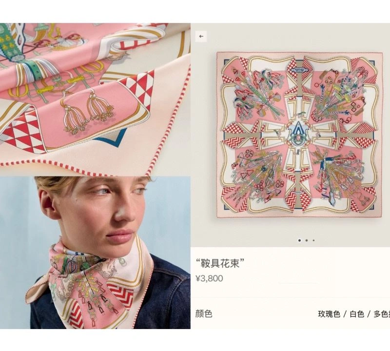 MultiPurpose Hermes Scarf 271619