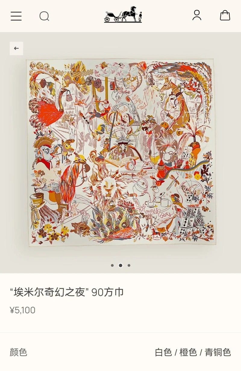 Hermes Scarf Packable 271597