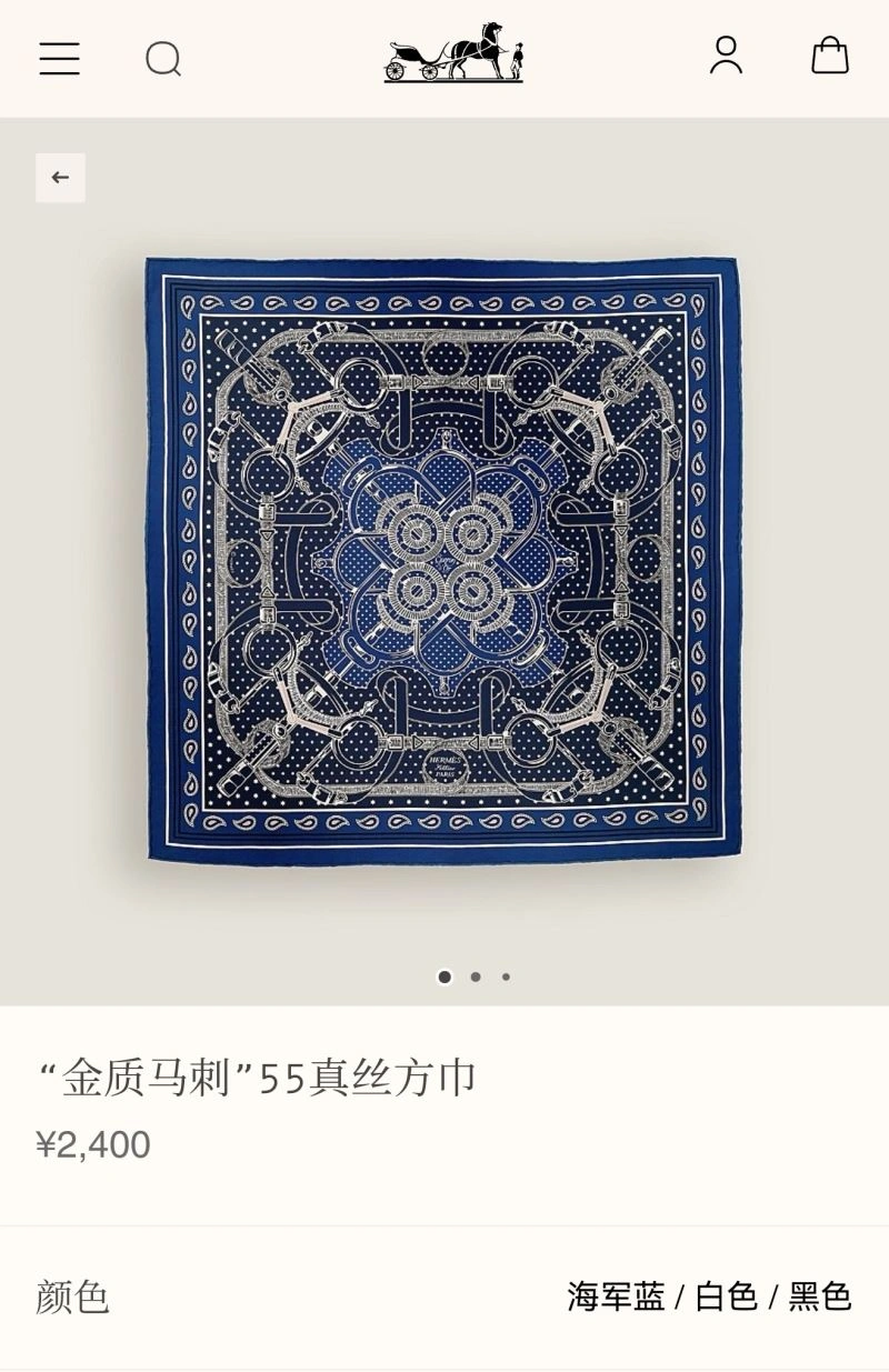 Hermes Scarf Elegant 271588