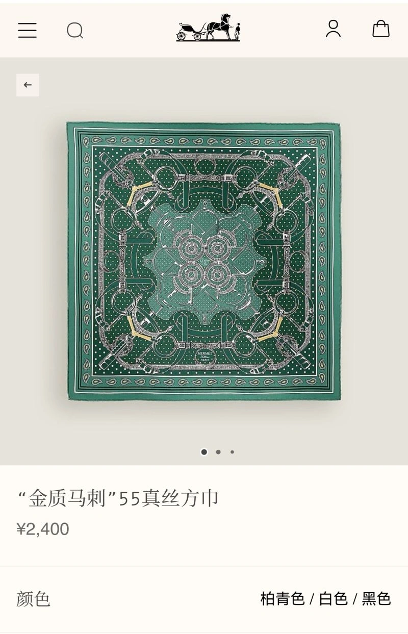 Hermes Scarf Cozy 271584