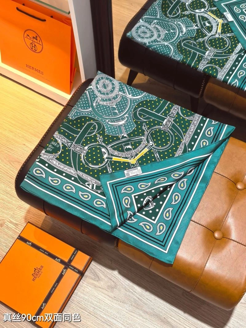 Hermes Scarf Cozy 271584