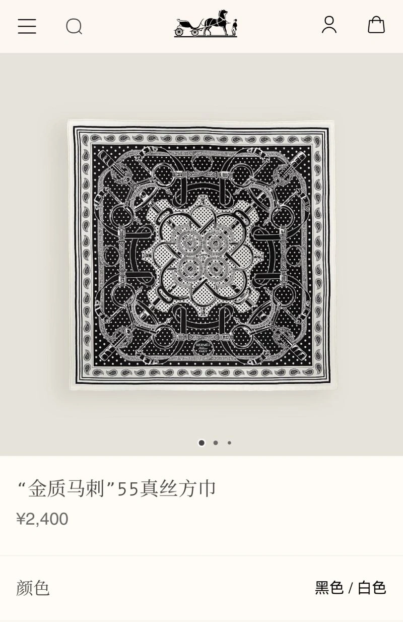 Hermes Scarf Elegant 271593