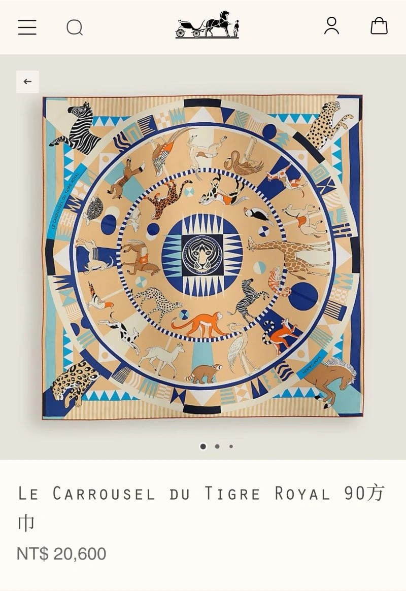 Stylish Hermes Scarf 271592