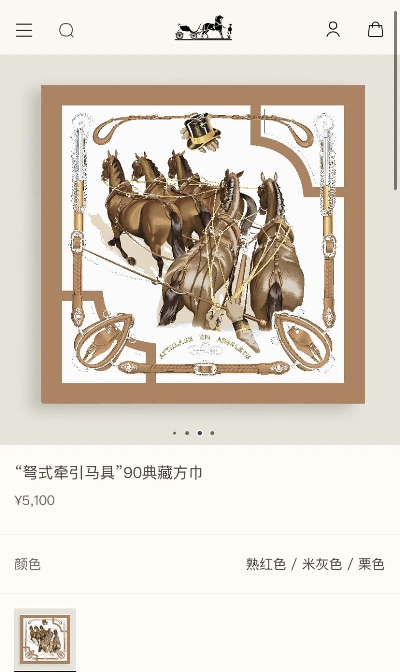 Colorful Hermes Scarf 271522