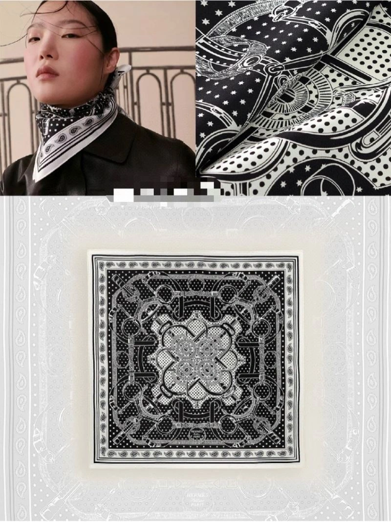 Hermes Scarf Youthful 271503