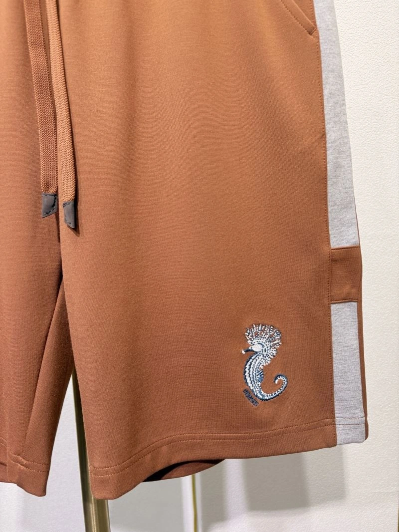 Vibrant Hermes Short Pants 129711