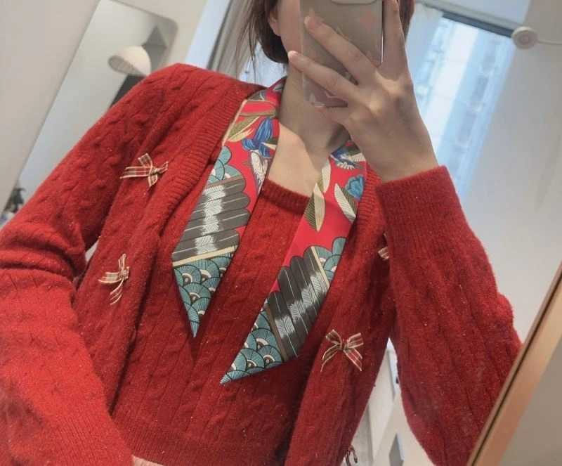 Casual Hermes Silk 272249