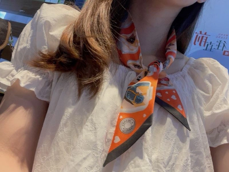 Hermes Silk Sustainable 272221