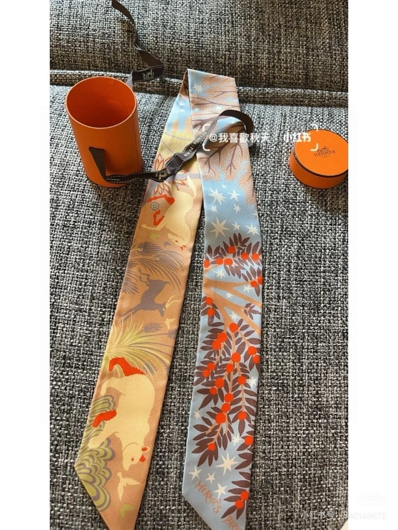 Supportive Hermes Silk 272209