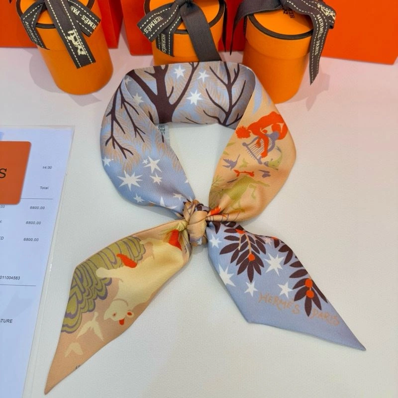 Supportive Hermes Silk 272209