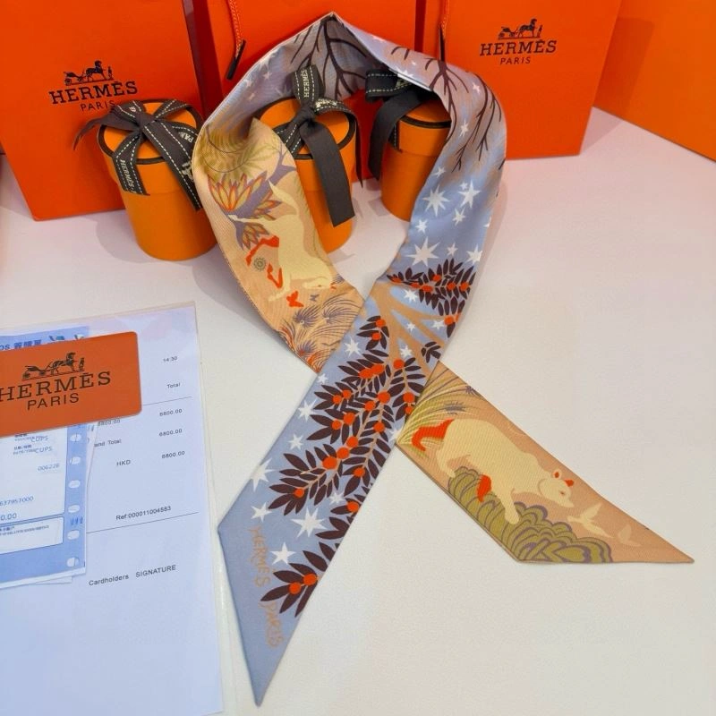Supportive Hermes Silk 272209
