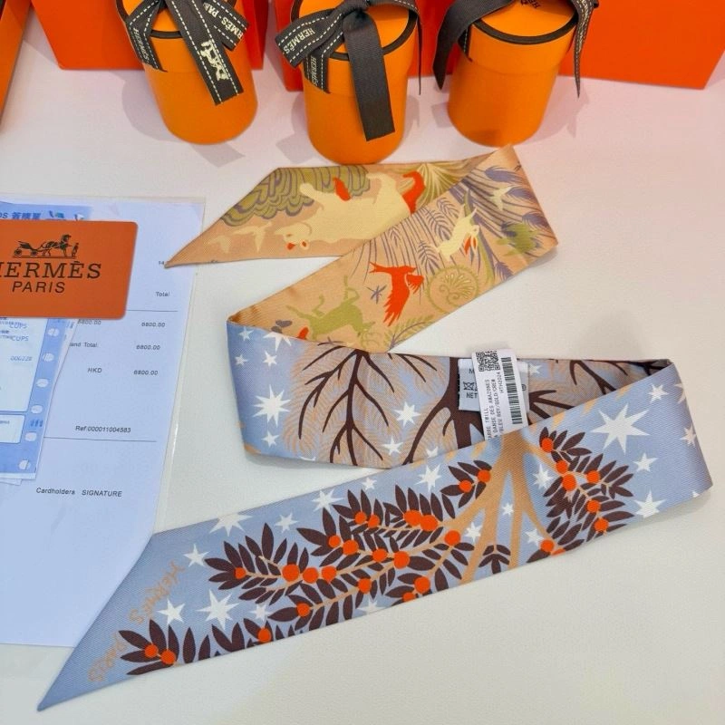 Supportive Hermes Silk 272209