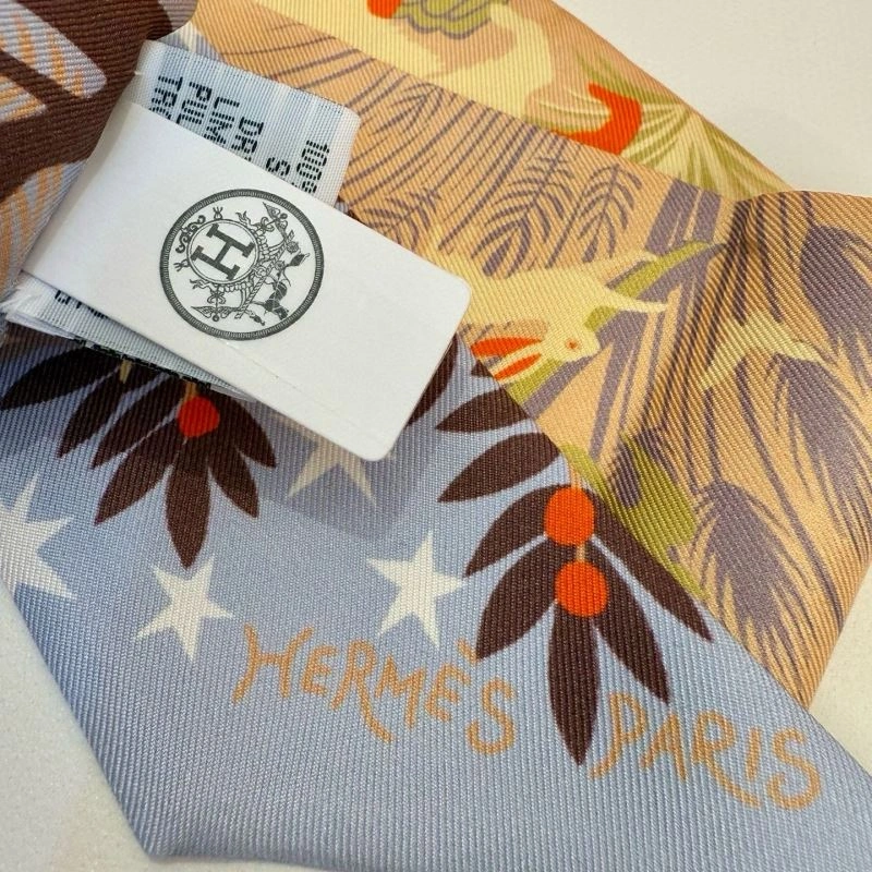 Supportive Hermes Silk 272209