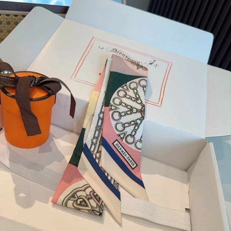 Hermes Silk Snug 272214
