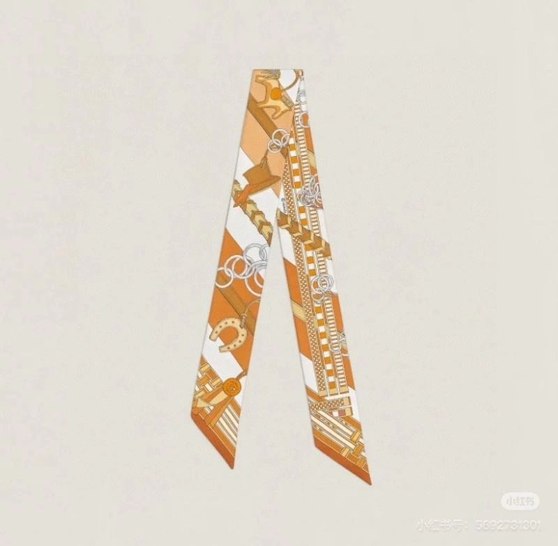 Hermes Silk Colorful 272155