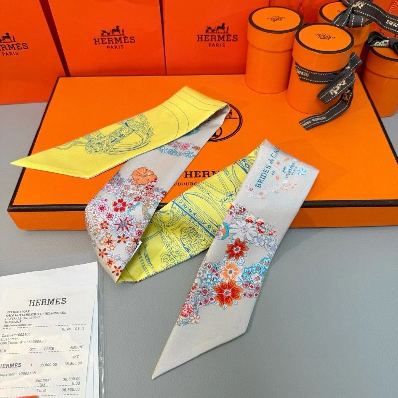 Stylish Hermes Silk 272142