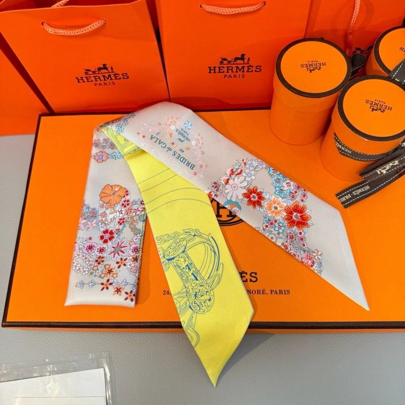 Stylish Hermes Silk 272142