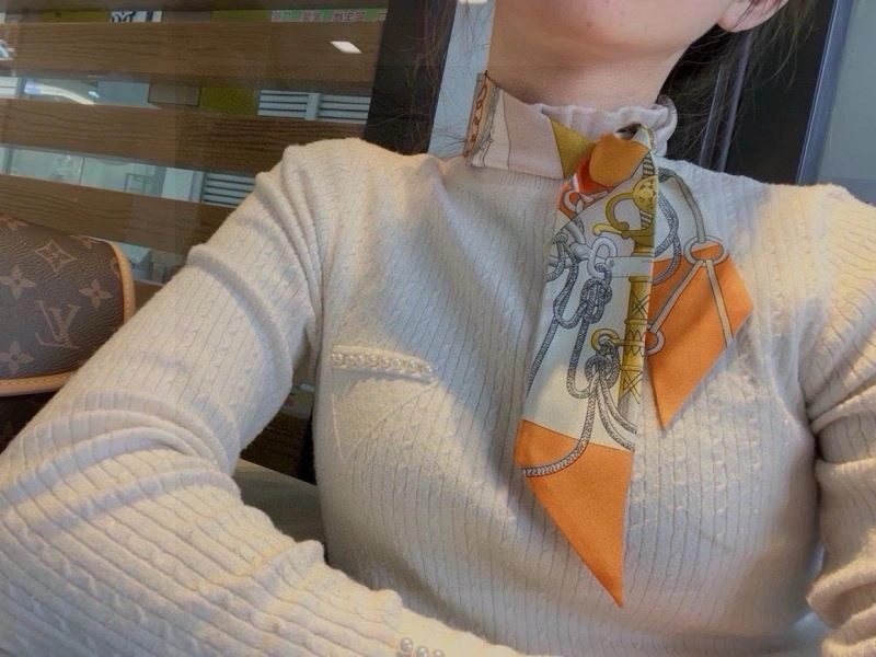 Hermes Silk Stylish 272089