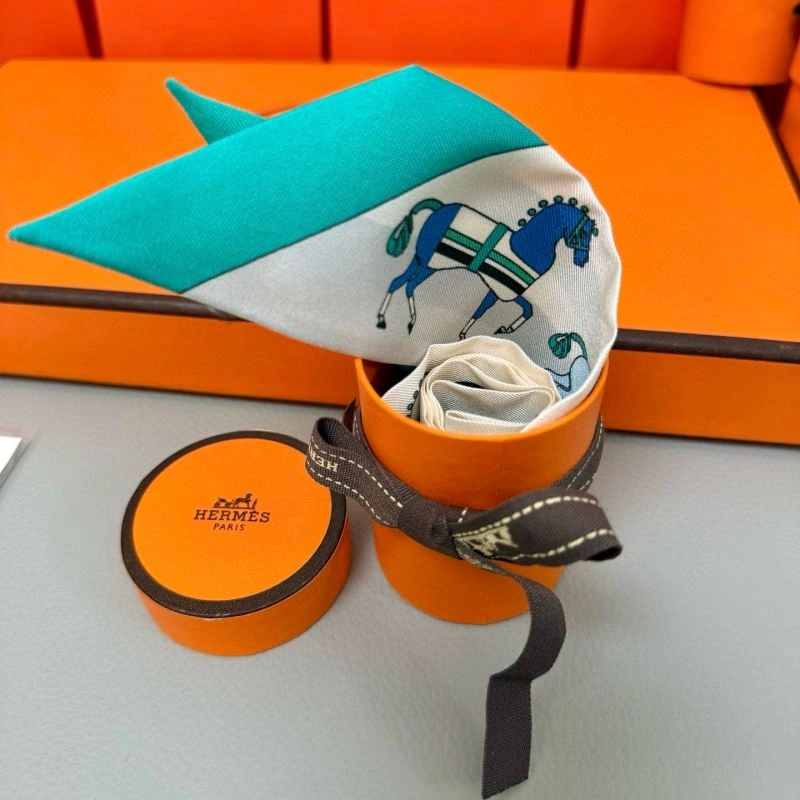 Hermes Silk Seasonal 272104
