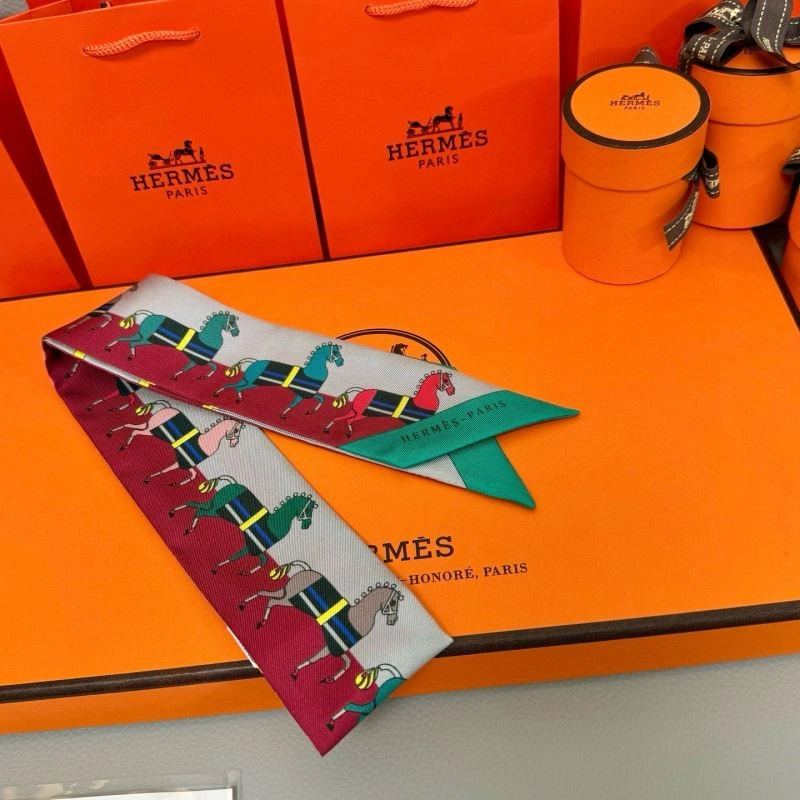Sleek Hermes Silk 272090